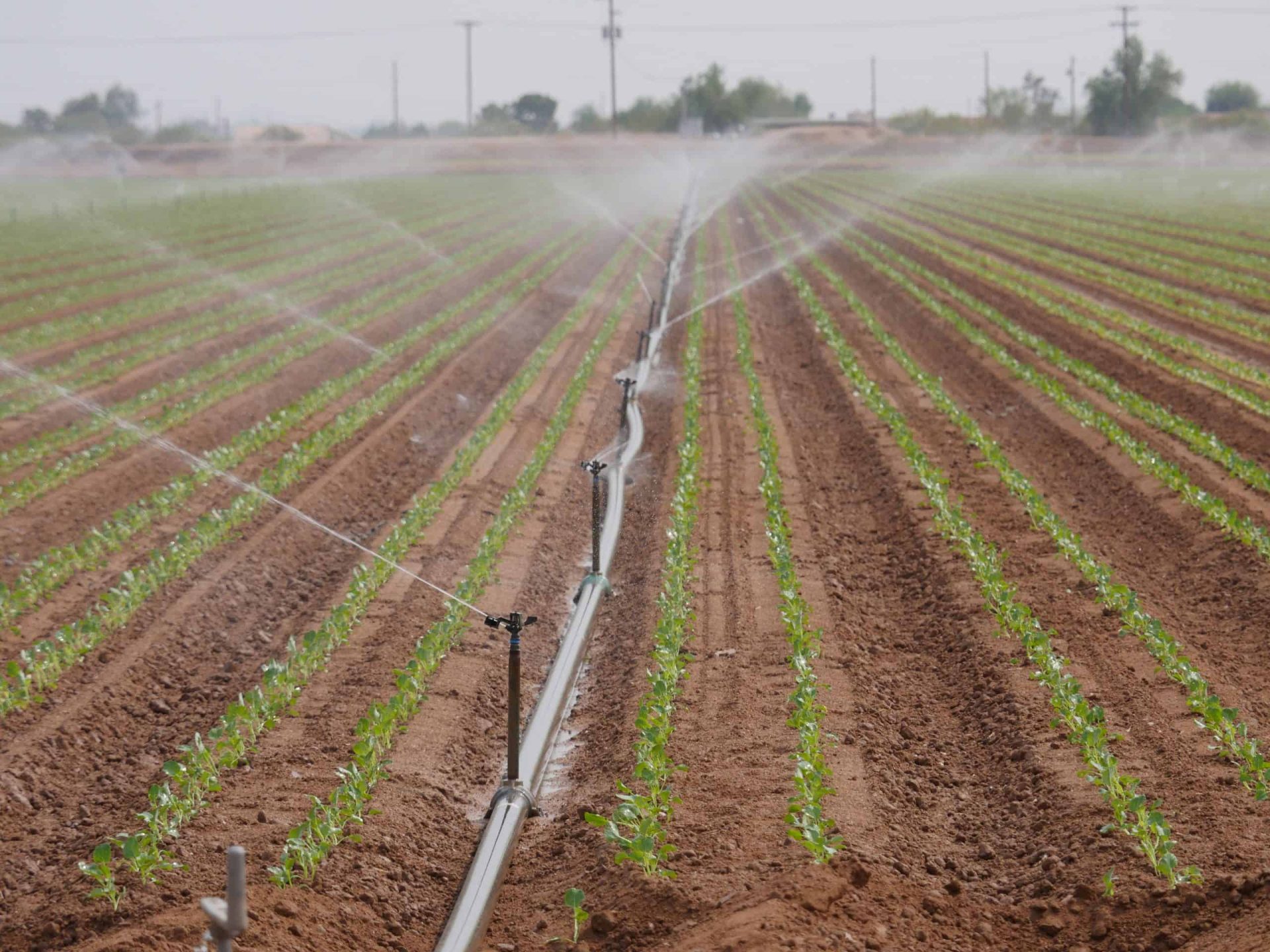 How Drought Affects the Future of Water at SRPMIC