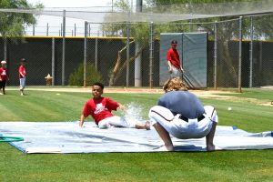 Spring Training Game Brings Community Partners Together