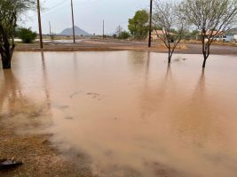 Monsoons Bring Relief … and Potential Damage