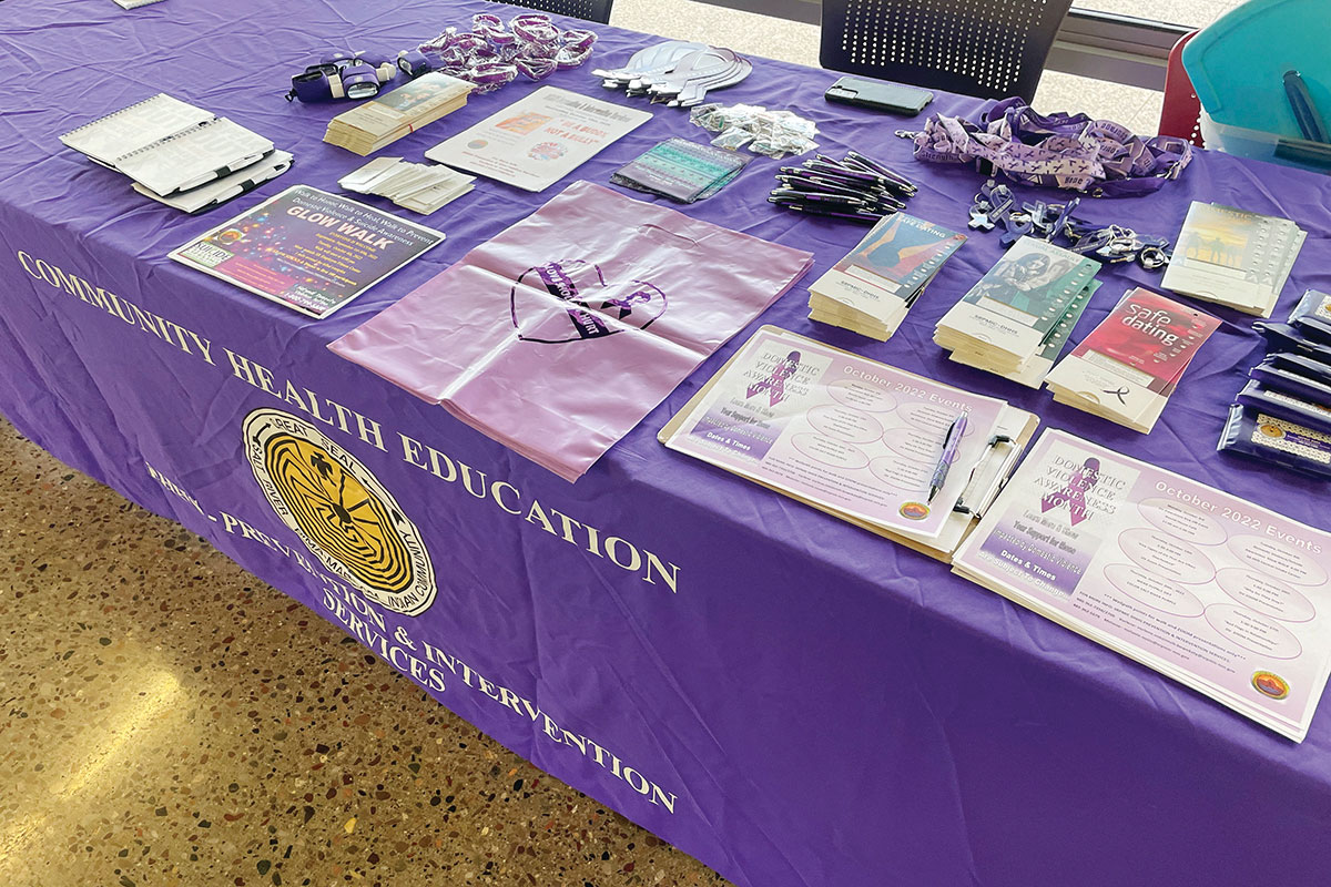 Behavioral Health Services Provides Information on Domestic Violence Services and Programs