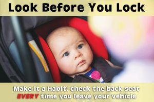 Help Prevent Hot-Car Deaths